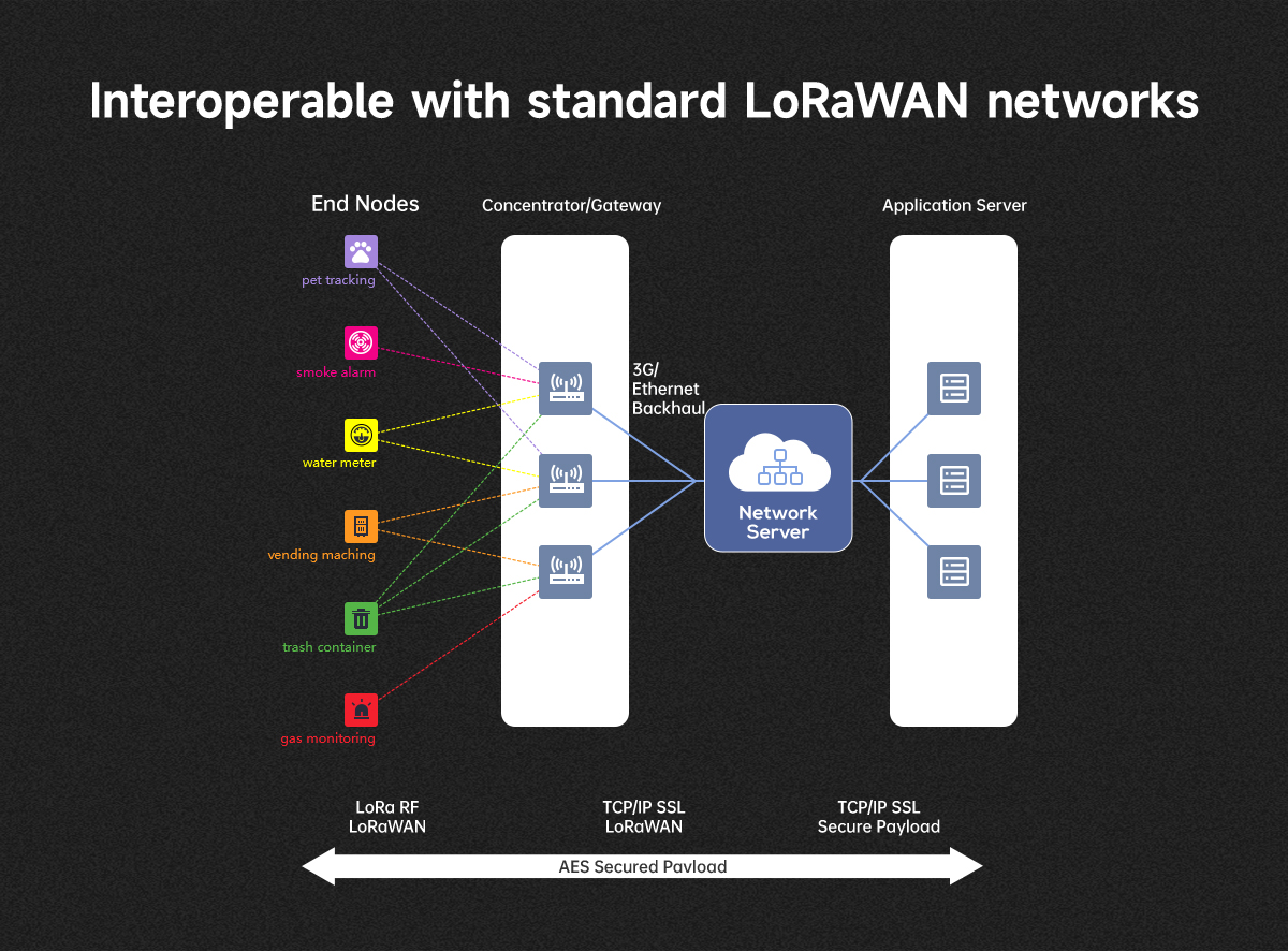 Interoperable with standard LoRaWAN networks